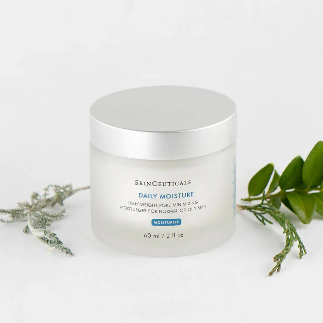 SkinCeuticals Daily Moisture 60ml